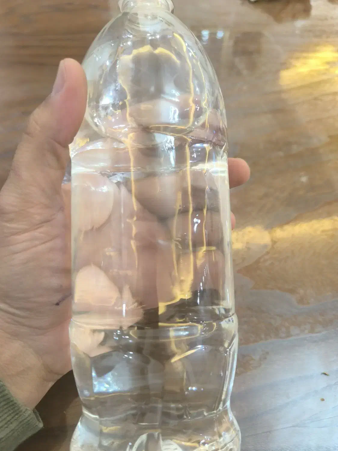 عرق نعناع peppermint|عمدهفروشی|تهران, فلسطین (میدان انقلاب)|دیوار