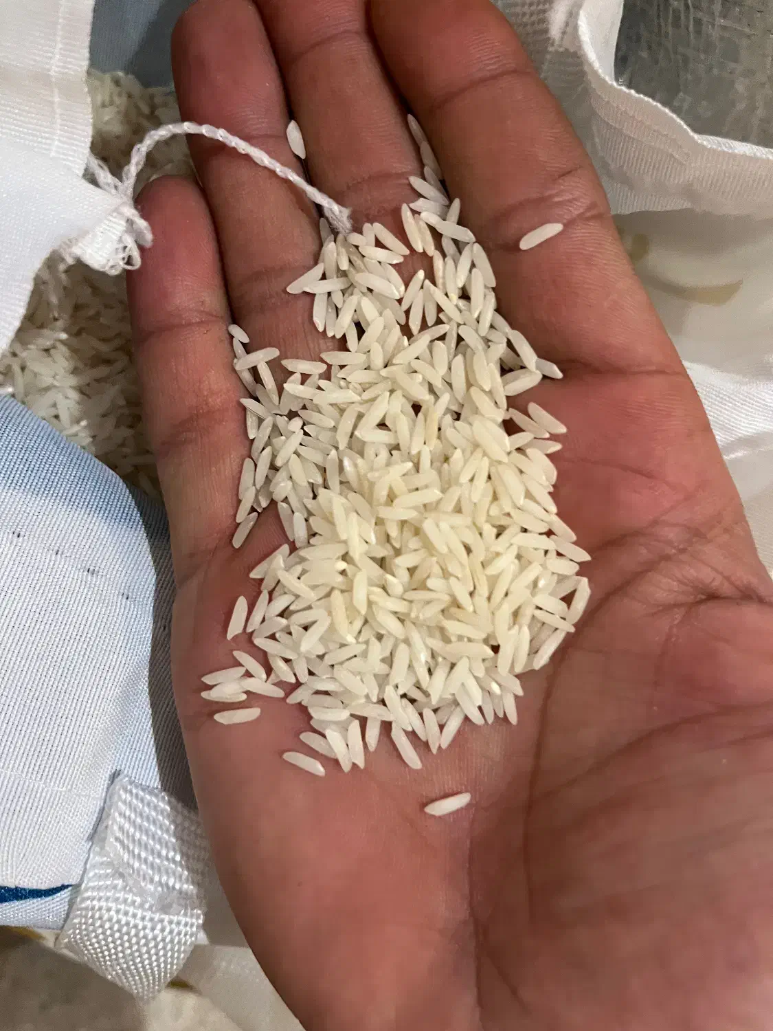 برنج هاشمی درجه یک|عمده‌فروشی|دماوند, گیلاوند|دیوار