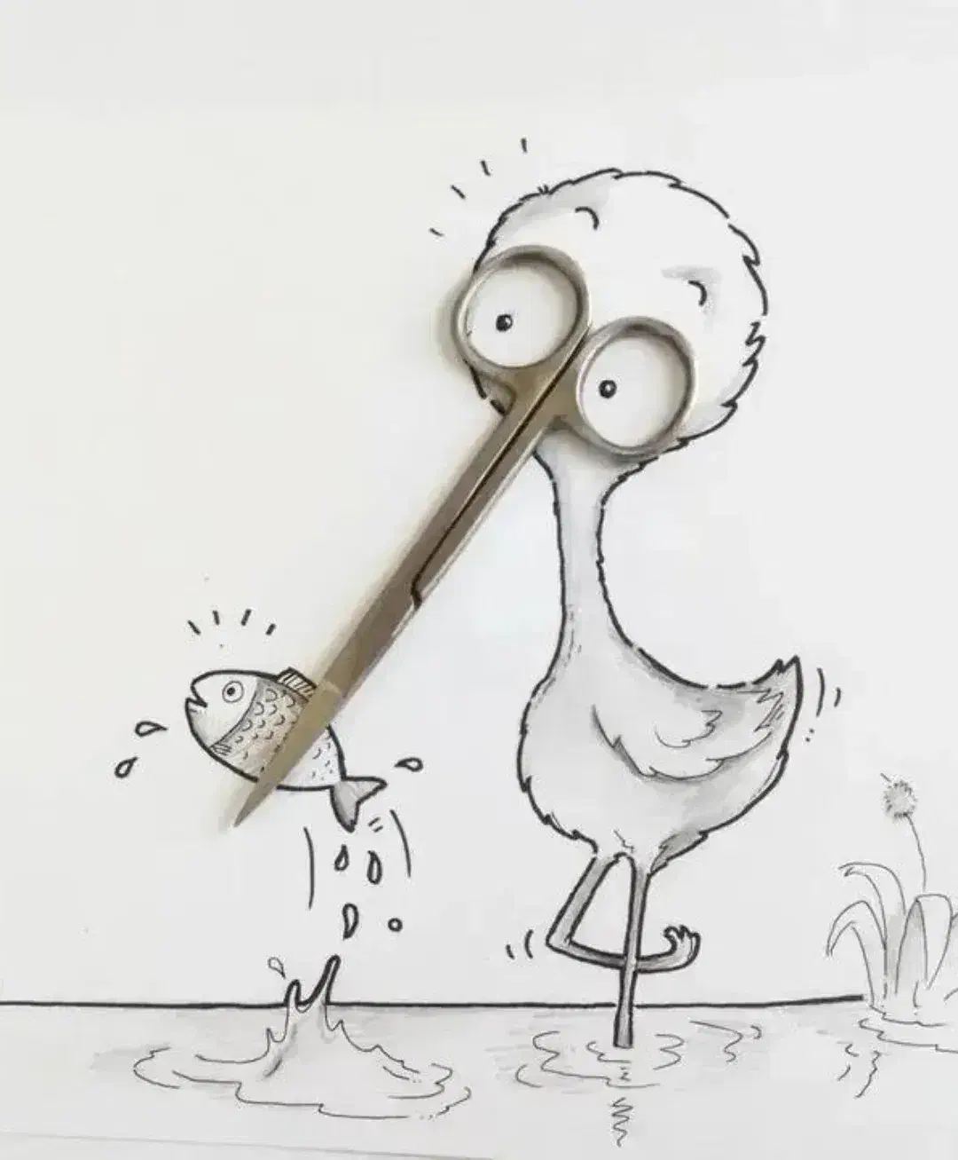 سهره|پرنده|یاسوج, |دیوار