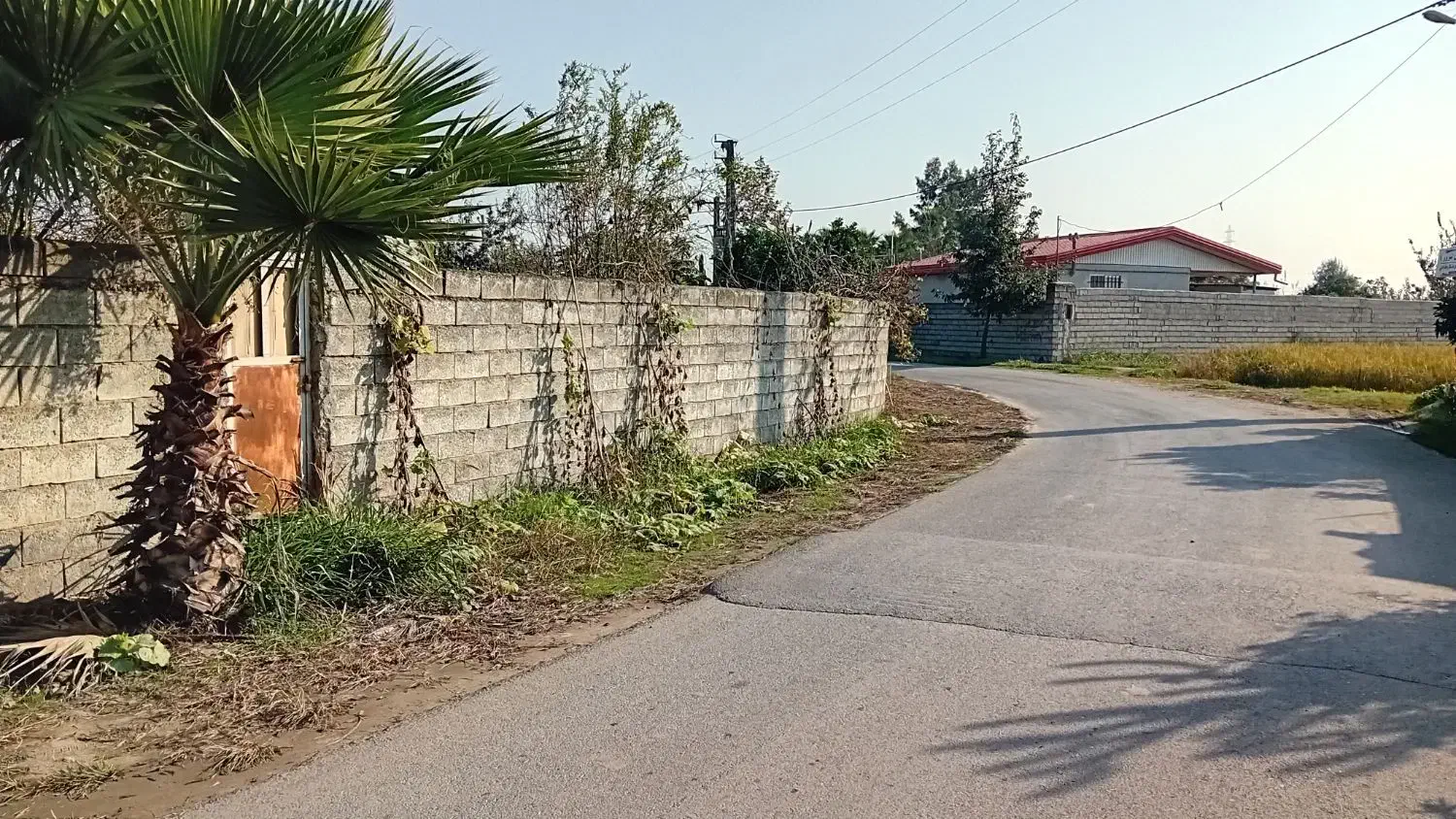 ۲۱۰ متر زمین بر خیابان اصلی|فروش زمین و ملک کلنگی|زرگرشهر, |دیوار