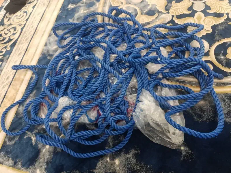 طناب ضخیم ۱۲ میل|ابزارآلات|رشت, سعدی (تختی)|دیوار