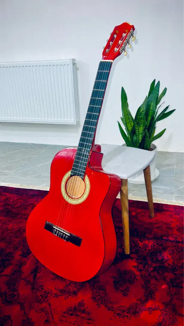 گیتار خوشرنگ اورجینال|گیتار، بیس، امپلیفایر|بجنورد, |دیوار