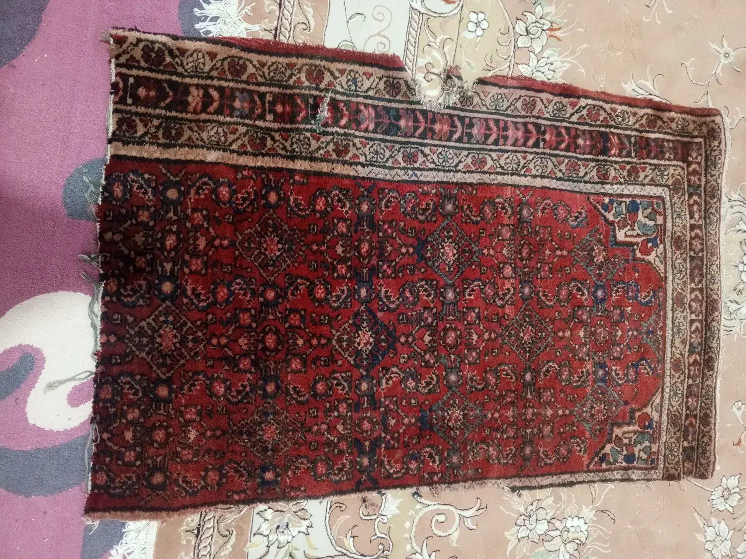 فرض دست بافت|فرش|کرمانشاه, |دیوار