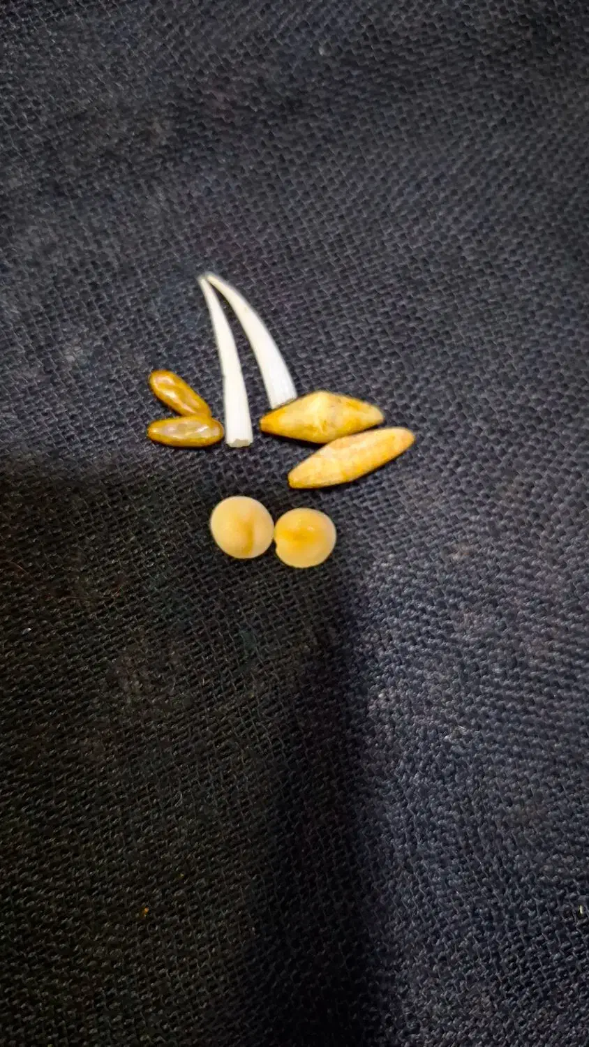 عتیقه|کلکسیون اشیاء عتیقه|دوگنبدان, |دیوار