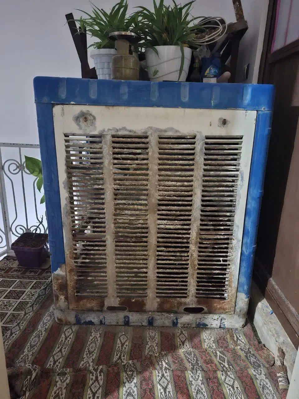 کولرآبی|کولر آبی|قم, قلعه کامکار|دیوار