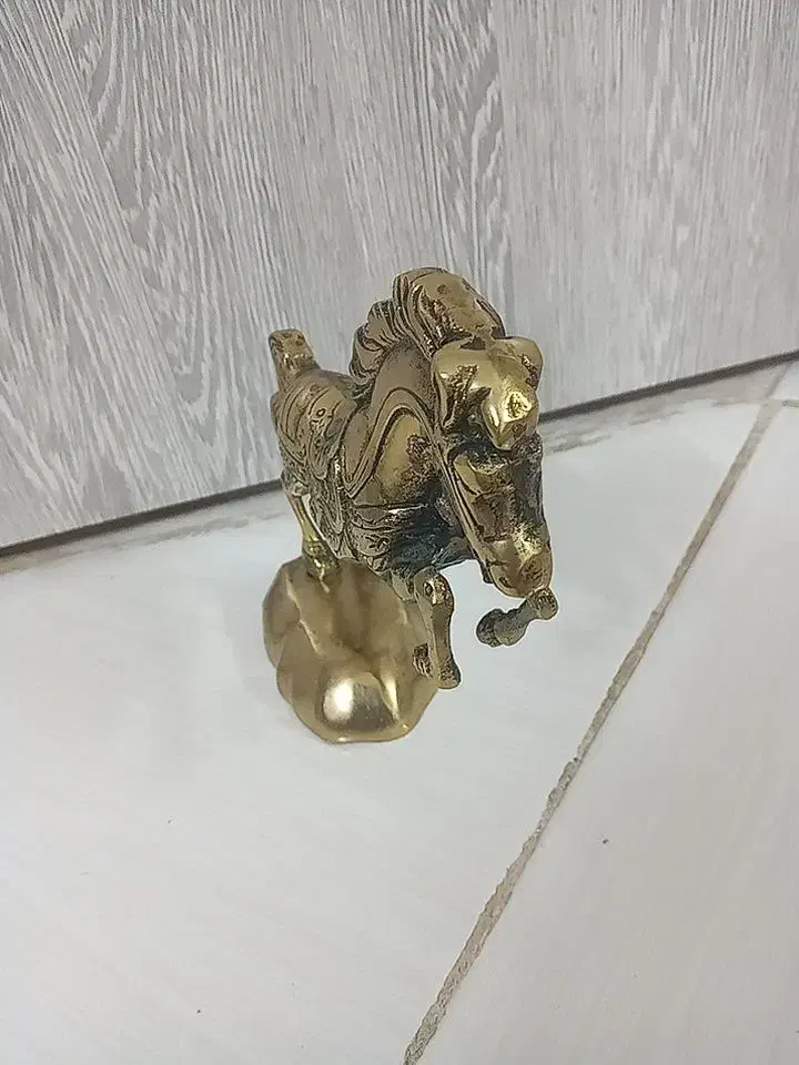 برنز|مجسمه، تندیس، ماکت|قم, پردیسان|دیوار