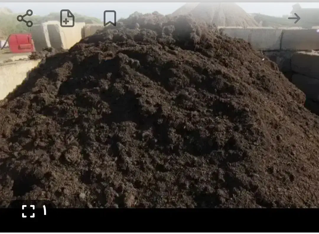 کودحیوانی|لوازم جانبی حیوانات|چناران, |دیوار