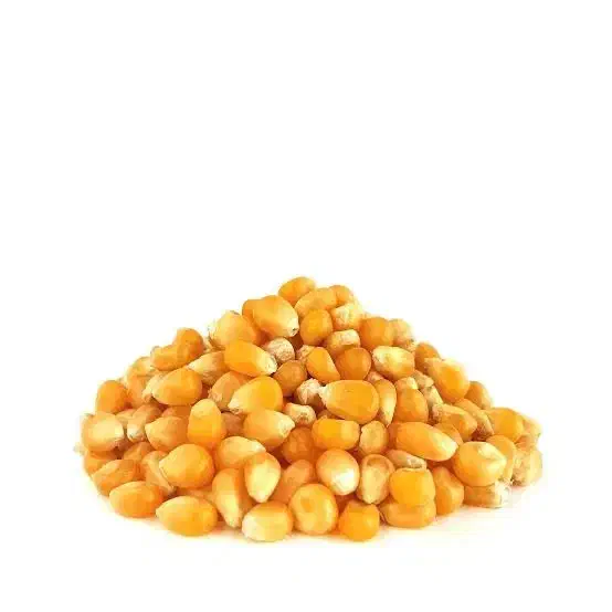 ذرت مکزیکی منجمد (ذرت تایلندی) باقلا و نخود منجمد|عمدهفروشی|تبریز, |دیوار