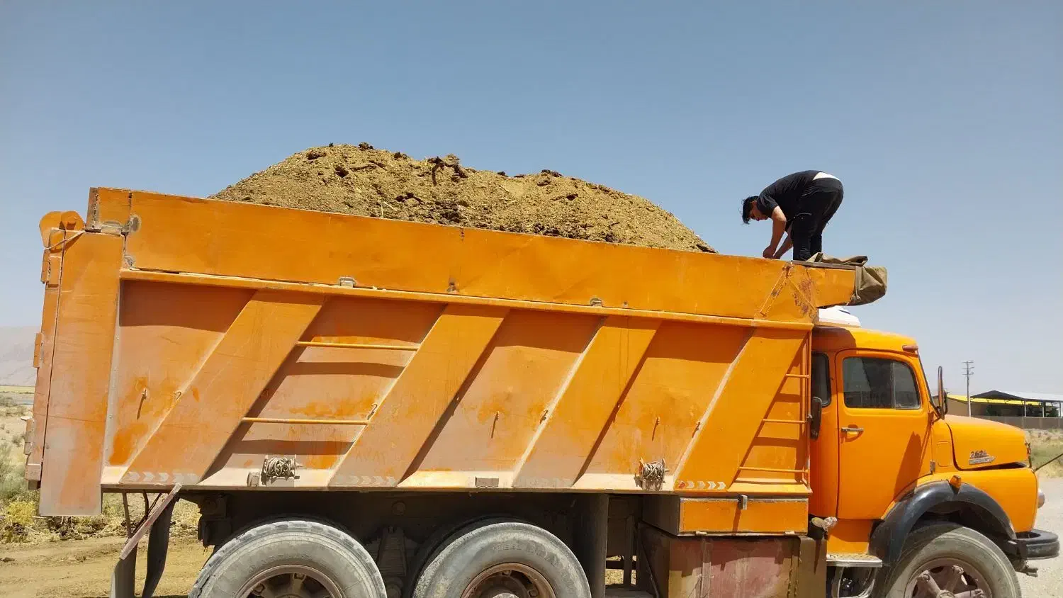 فروش کود دامی ،گاو،گوسفند،مرغ|خدمات باغبانی و درختکاری|شیراز, گل سرخ|دیوار