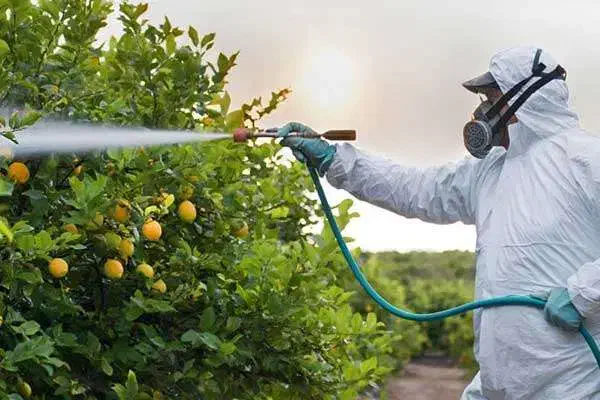 انجام کلیه امور باغبانی در محل|خدمات باغبانی و درختکاری|اصفهان, کوجان|دیوار