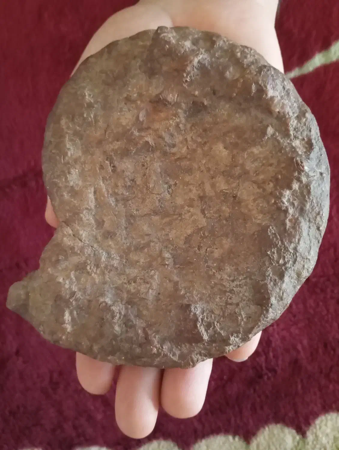 فسیل|کلکسیون اشیاء عتیقه|اسفراین, |دیوار