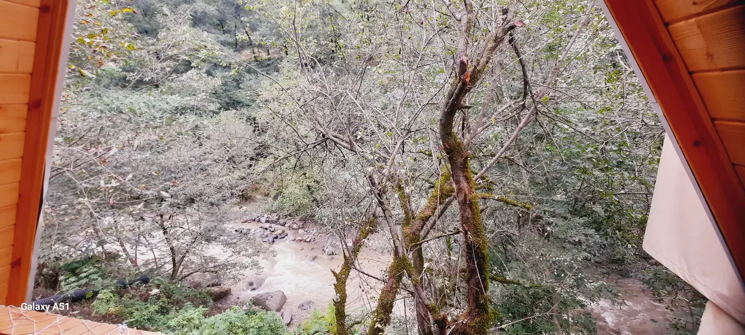 کلبه سوییسی|اجارهٔ کوتاه‌مدت آپارتمان و سوئیت|ماکلوان, |دیوار