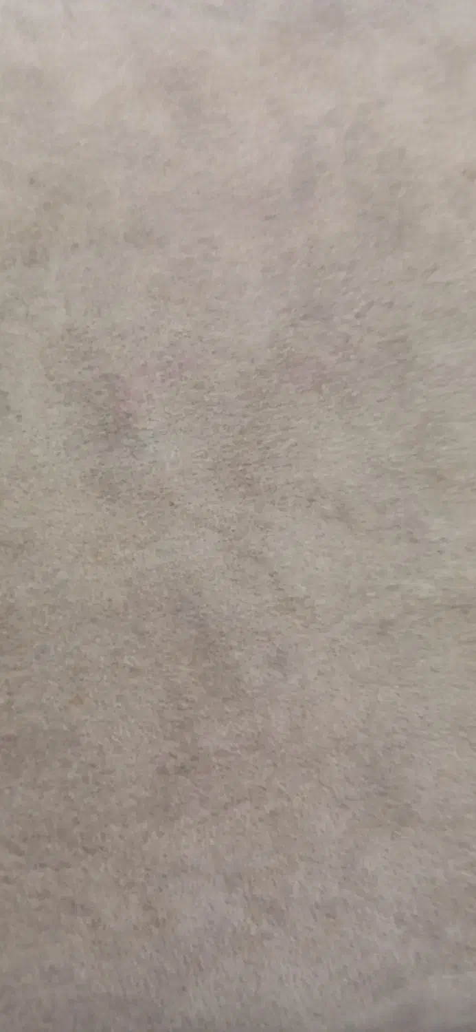 کیف مدارک گمشده|اشیا|بروجرد, |دیوار