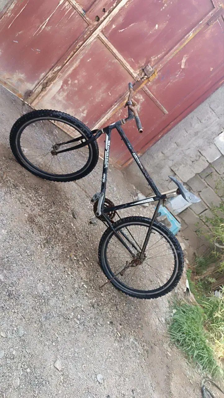 دوچرخه|دوچرخه، اسکیت، اسکوتر|هامون, |دیوار