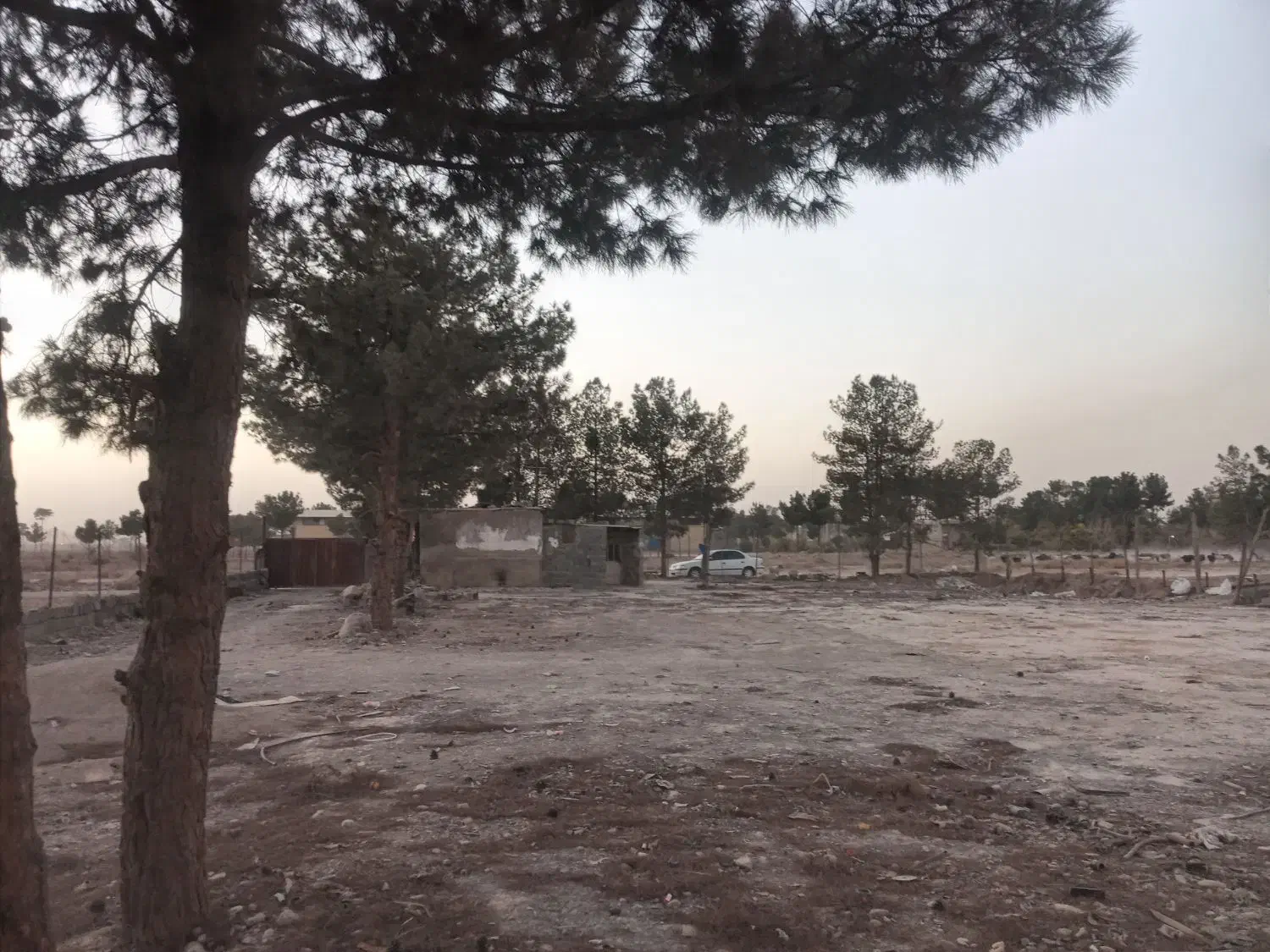 1700مترزمین اجاره ای|اجارهٔ دفتر صنعتی، کشاورزی، تجاری|تهران, هفت چنار|دیوار