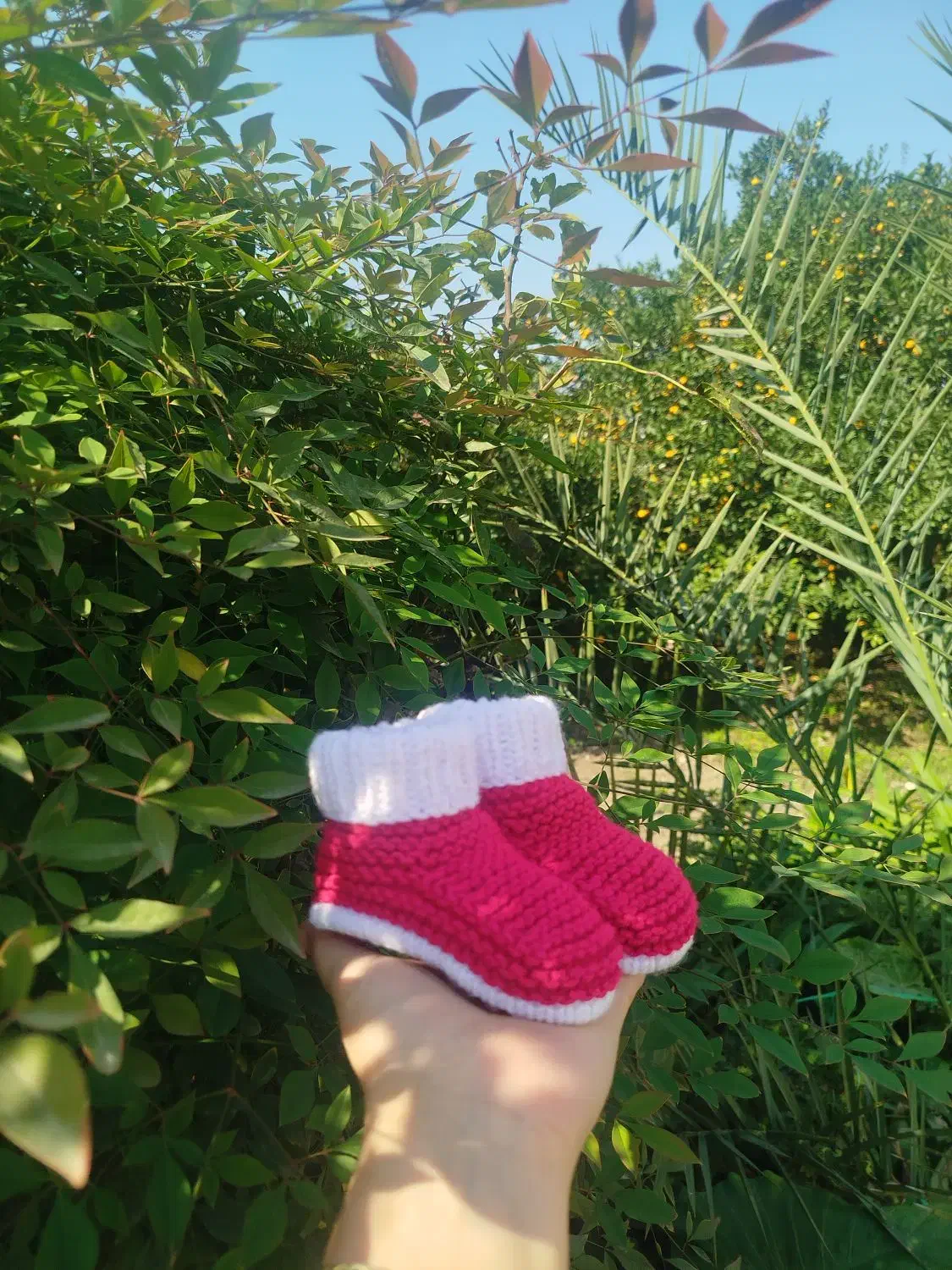 برای کوچولوهاتون|کفش و لباس بچه|رامسر, |دیوار