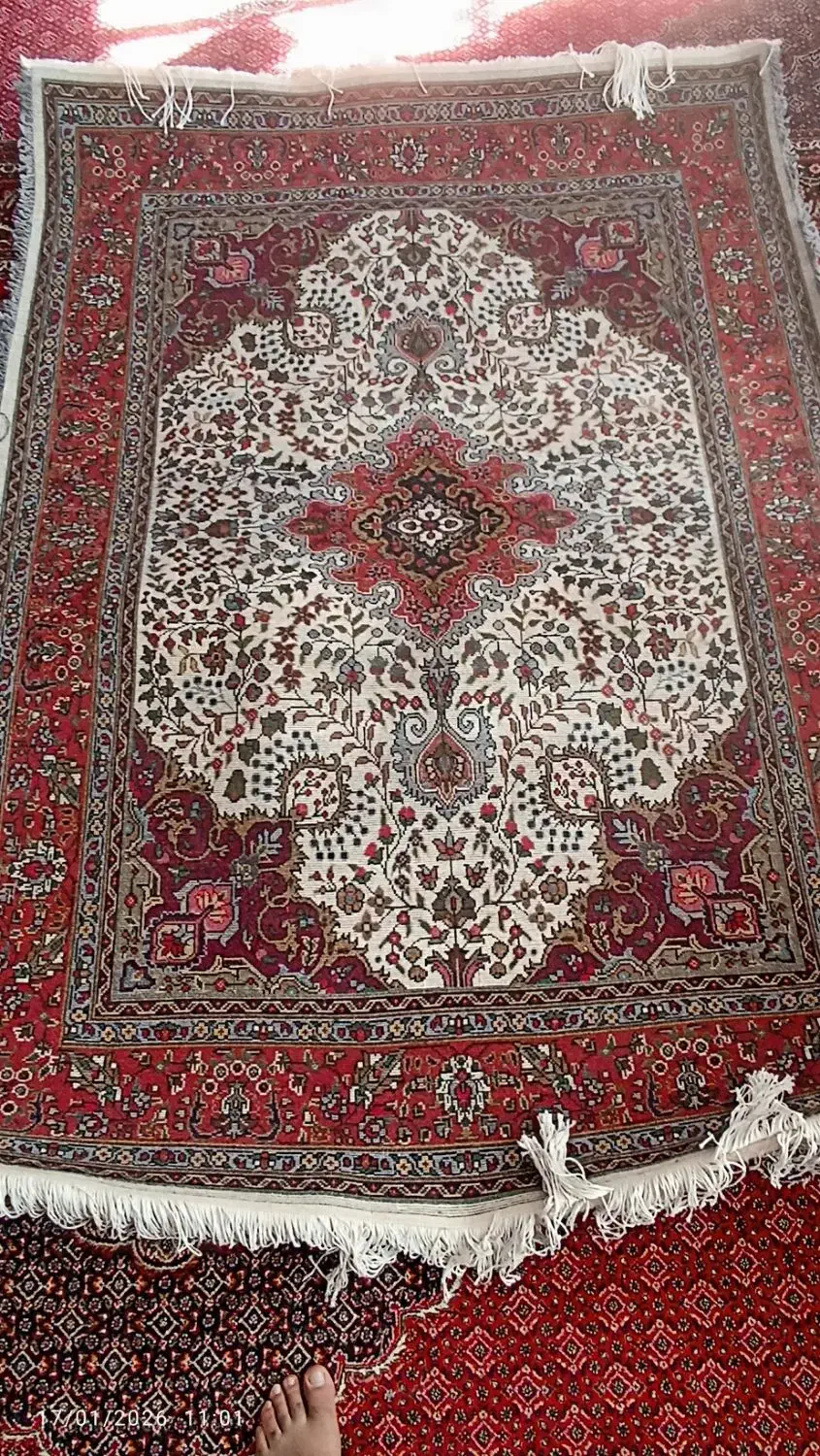 فرش قالیچه کرمان|فرش|بناب, |دیوار