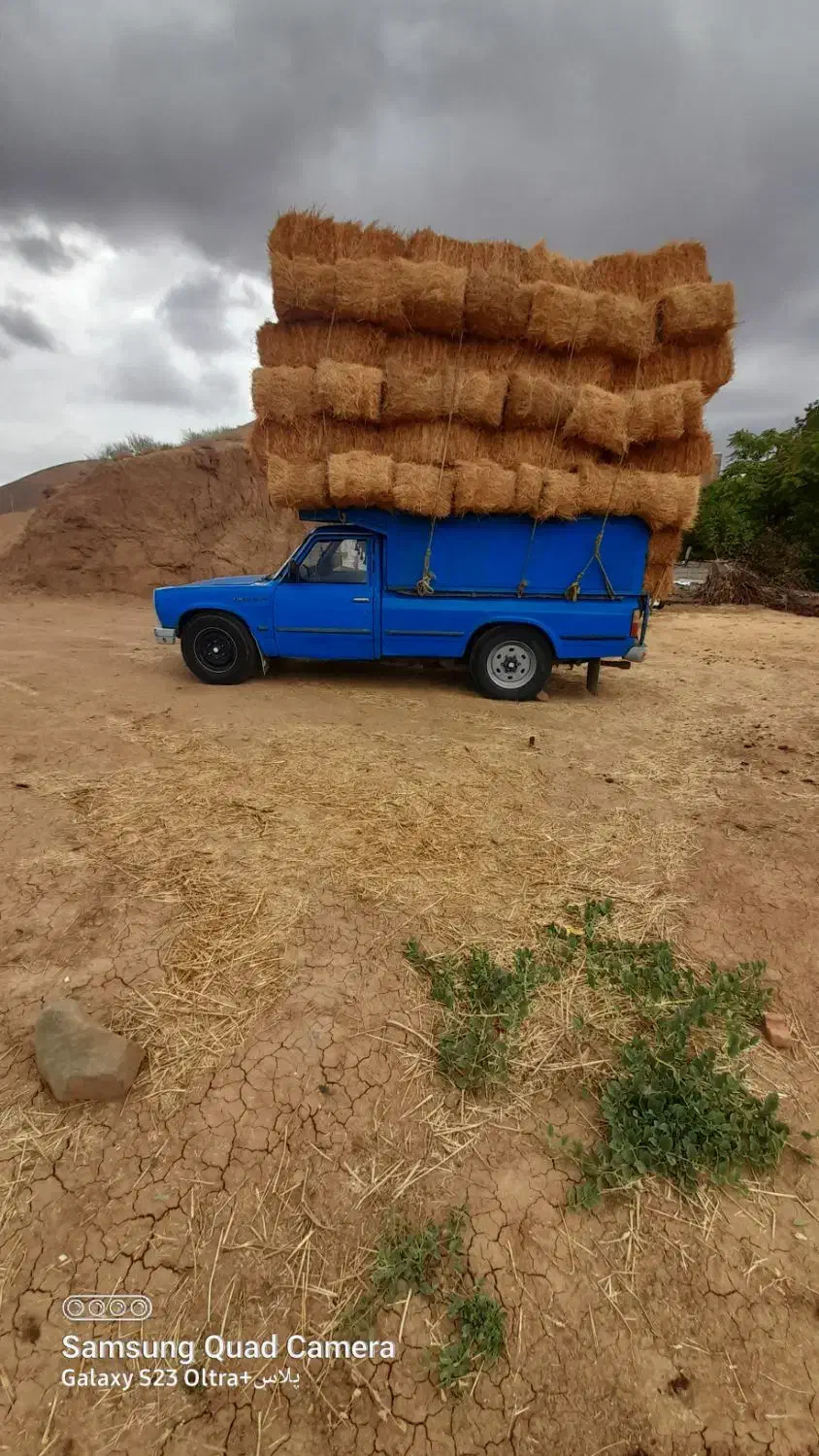 نیسان دیزل مدل ۸۹|خودرو سواری و وانت|آبش احمد, |دیوار