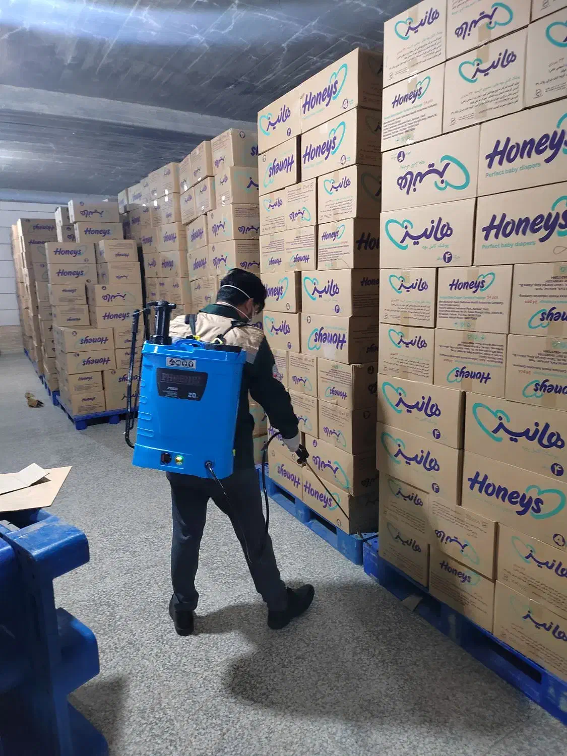 سمپاشی تضمینی منزل ومحل کار بامجوزعلوم پزشکی شیراز|خدمات نظافت|شیراز, انجیره|دیوار