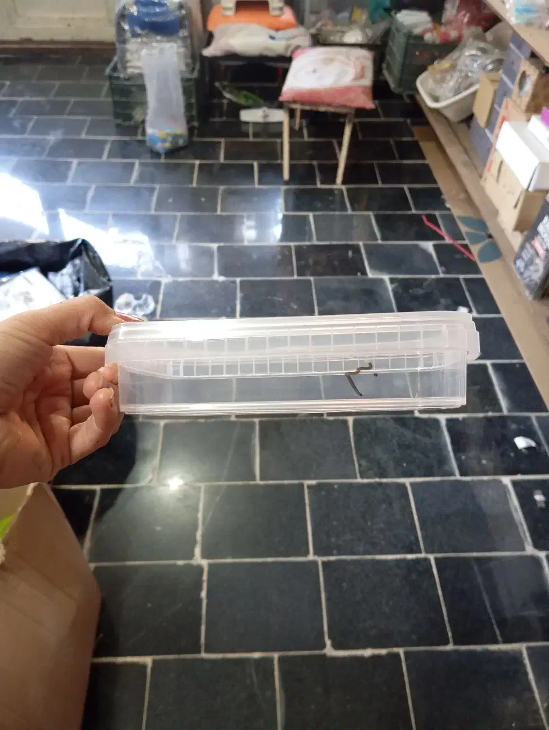 جا ادویه ی شیشه ای زیبا وشیک|ظروف نگهدارنده، پلاستیکی، یکبارمصرف|بناب, |دیوار