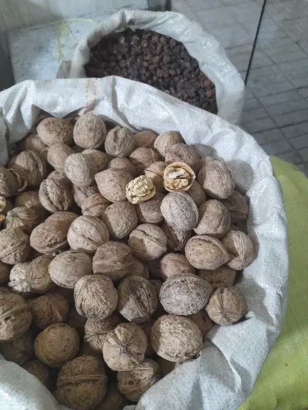 گردو امسالی درجه یک|خوردنی و آشامیدنی|مشهد, حجت|دیوار