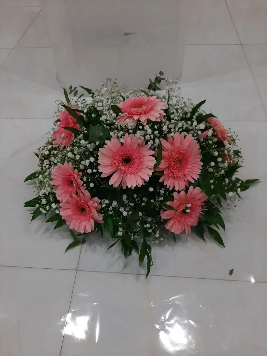 گل طبیعی|گل و گیاه طبیعی|رشت, عینک|دیوار