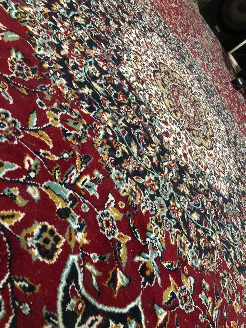 فرش ریزبافت ۹ متری|فرش|قائم‌شهر, |دیوار