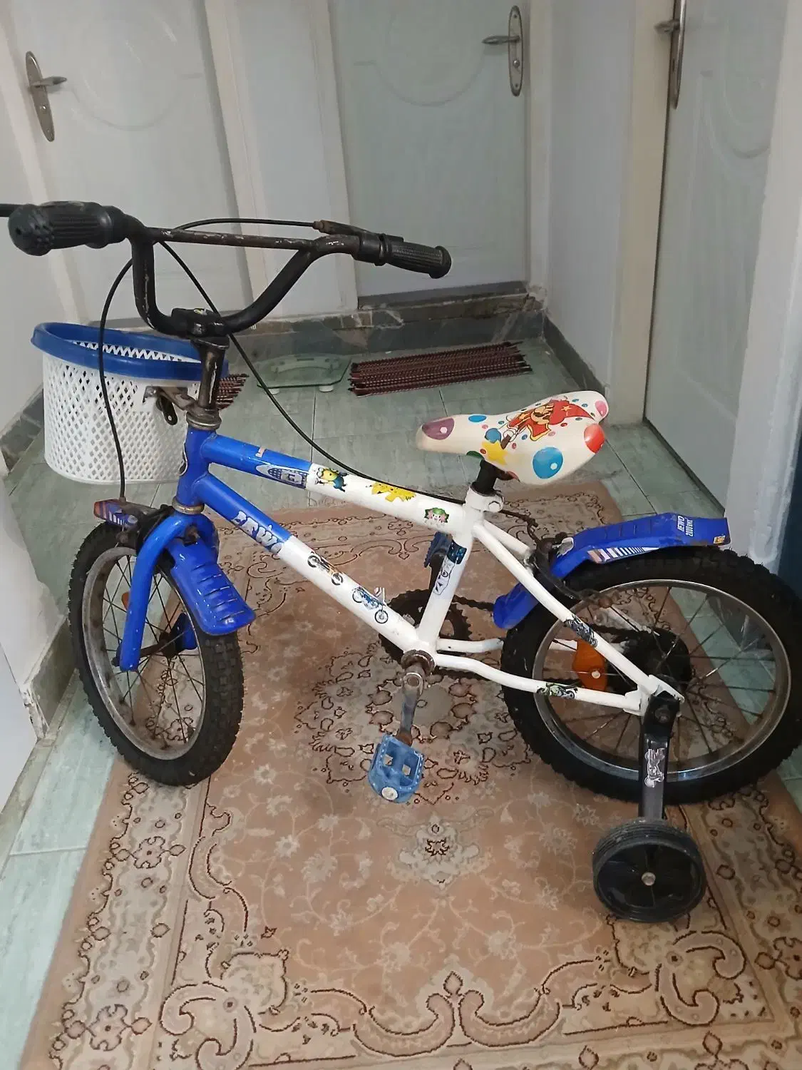 دوچرخه|دوچرخه، اسکیت، اسکوتر|رشت, چله خانه|دیوار