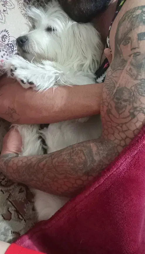 واگزاری واگزاری|سگ|قزوین, |دیوار