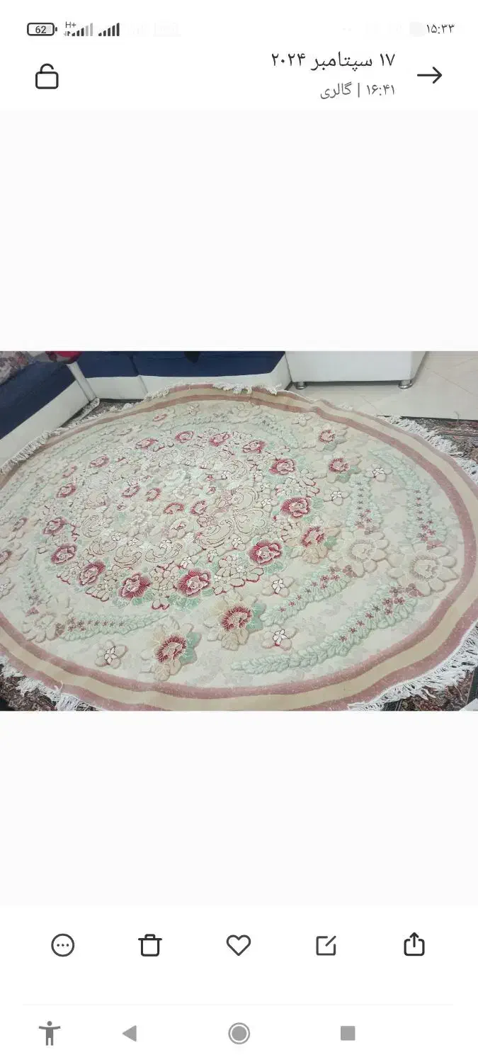 فرش|فرش|بندرعباس, |دیوار