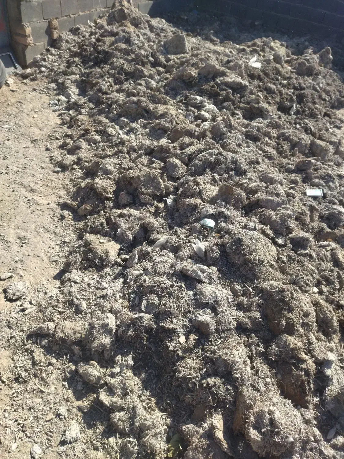 کود کمپست قارچ|خدمات باغبانی و درختکاری|فردوس (خراسان), |دیوار