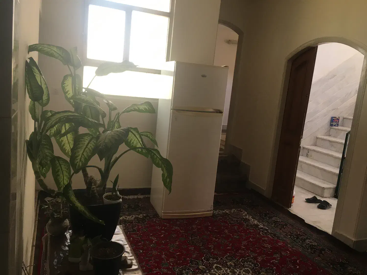 اجاره روزانه واحد مبله|اجارهٔ کوتاه‌مدت آپارتمان و سوئیت|قم, قم نو|دیوار