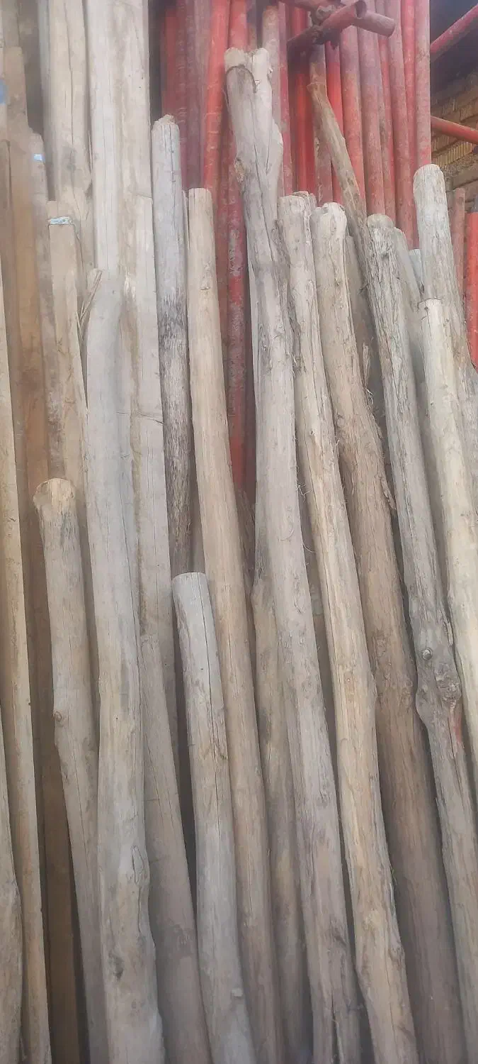 فروش چوب گرد|مصالح و تجهیزات ساختمان|شیراز, شهرک مهدیه|دیوار