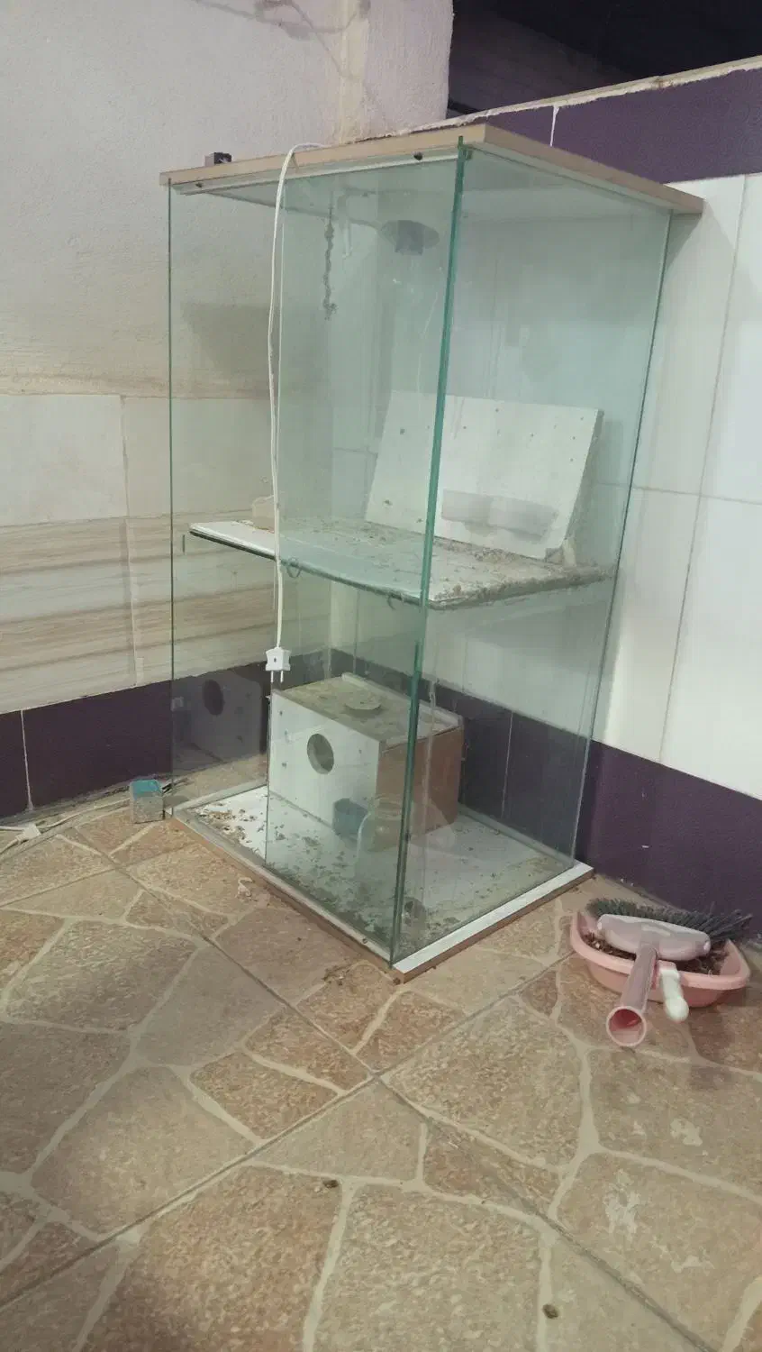 قفس پرنده|لوازم جانبی حیوانات|اهر, |دیوار