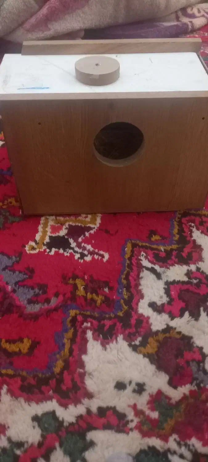 عروس هلندی|پرنده|خسروشاه, |دیوار