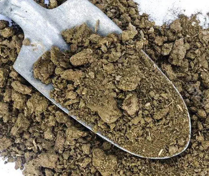 کود گاوی پر بار و مرغوب برای باغات و زمین کشاورزی|خدمات باغبانی و درختکاری|مشهد, فرودگاه|دیوار