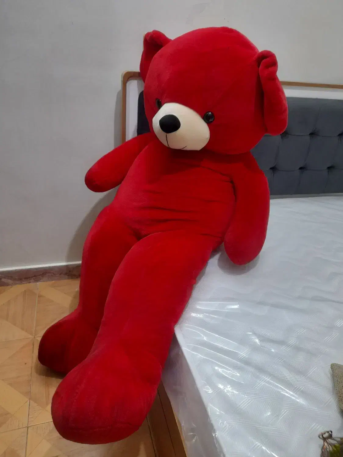 خرس ولنتاین|اسباببازی|تهران, افسریه شمالی|دیوار