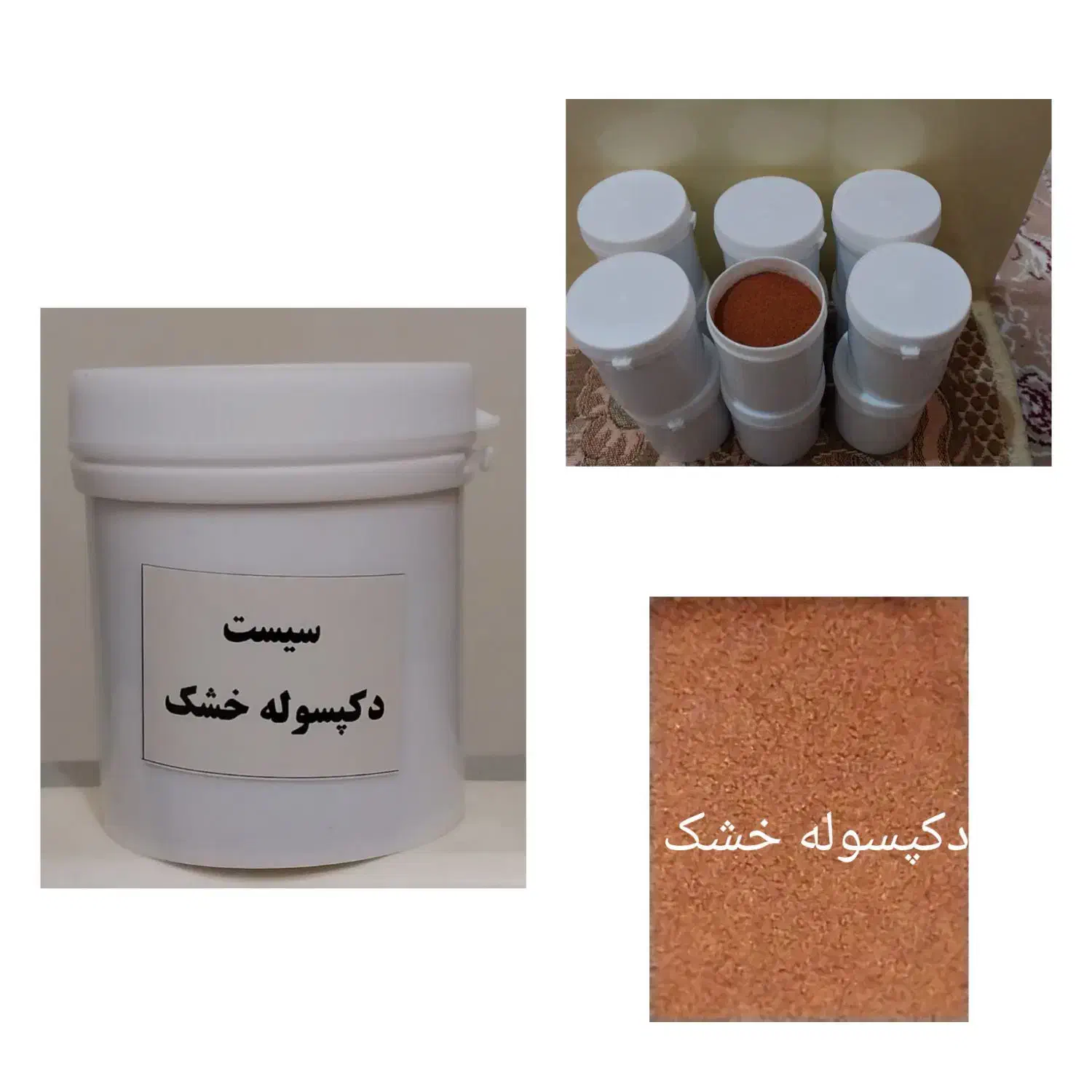 انواع غذا و ملزومات آکواریومی|ماهی|تهران, منیریه|دیوار