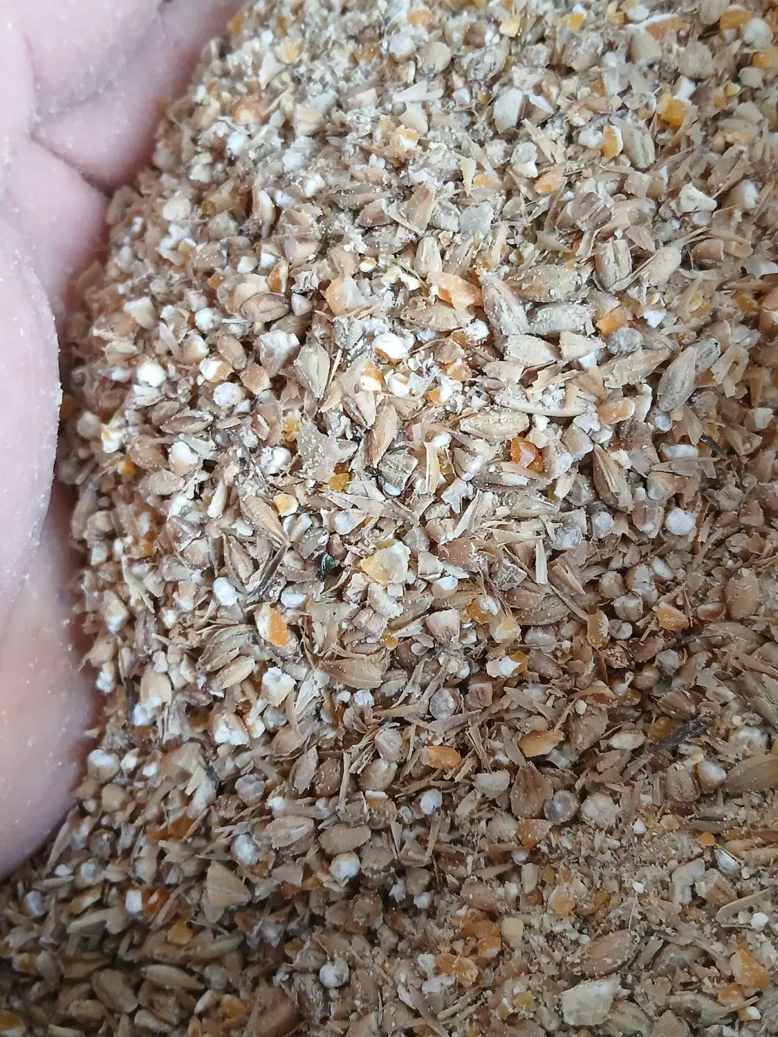 جوزرتدرجهیک|عمدهفروشی|مهران (ایلام), |دیوار