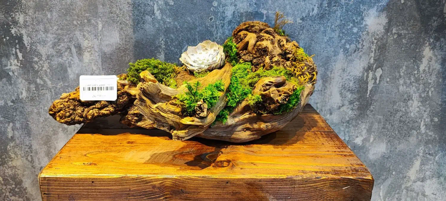 تابلو .درخت و درختچه جاودان|صنایع دستی و سایر لوازم تزئینی|اهواز, فرهنگ شهر|دیوار