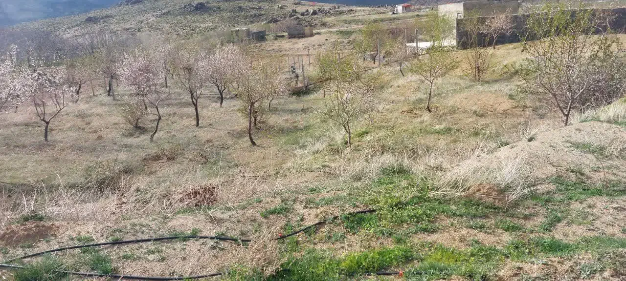 زمین واقع در دره غول روستای نور اباد|فروش زمین و ملک کلنگی|بهار, |دیوار