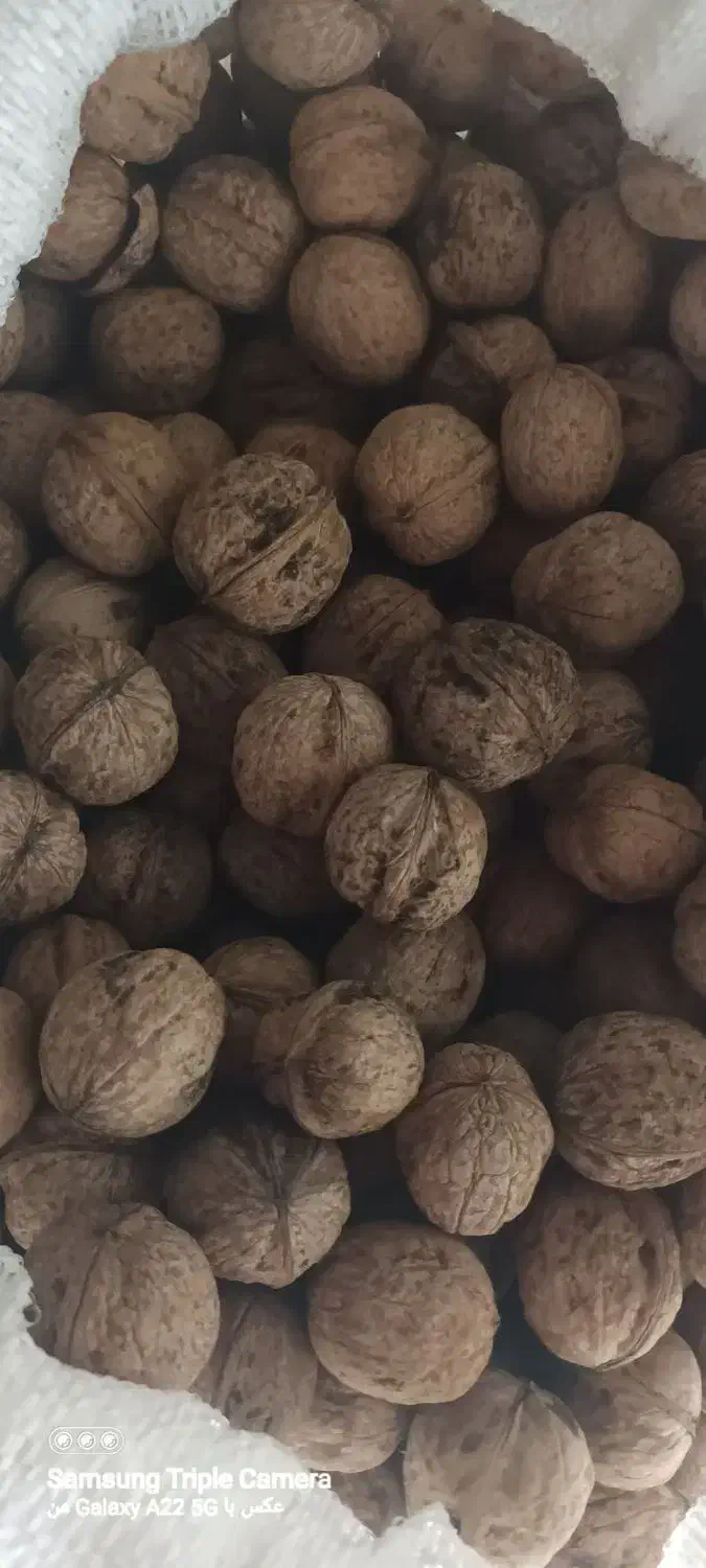 گردو محلی و اخته زغال|خوردنی و آشامیدنی|قزوین, |دیوار