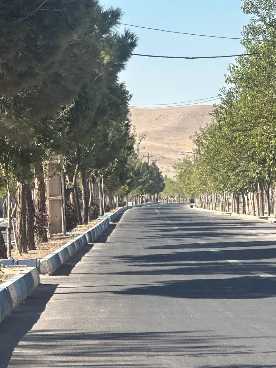 اجاره سالن به متراژ ۳۵۰|اجارهٔ دفتر صنعتی، کشاورزی، تجاری|خسروشاه, |دیوار