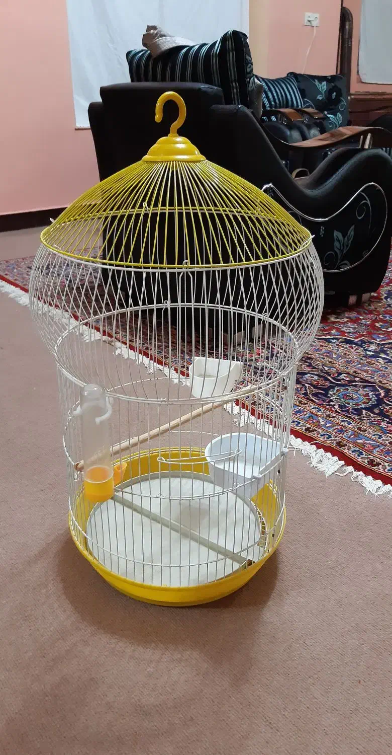 قفس خیلی شیک وزیبا مخصوص طوطی و عروس هلندی|لوازم جانبی حیوانات|کرمانشاه, |دیوار