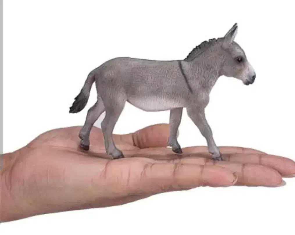 الاغ|حیوانات مزرعه|دهدشت, |دیوار