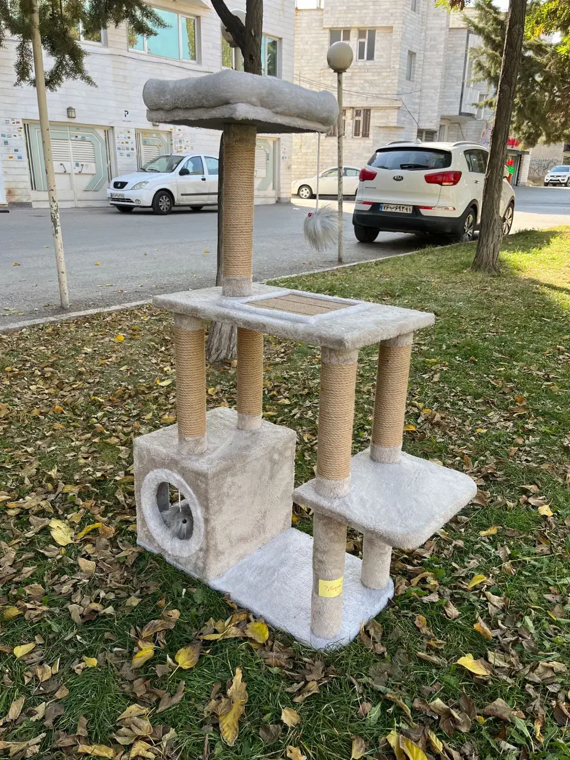 اسکرچر جای خواب گربه|لوازم جانبی حیوانات|تهران, کوی بیمه|دیوار