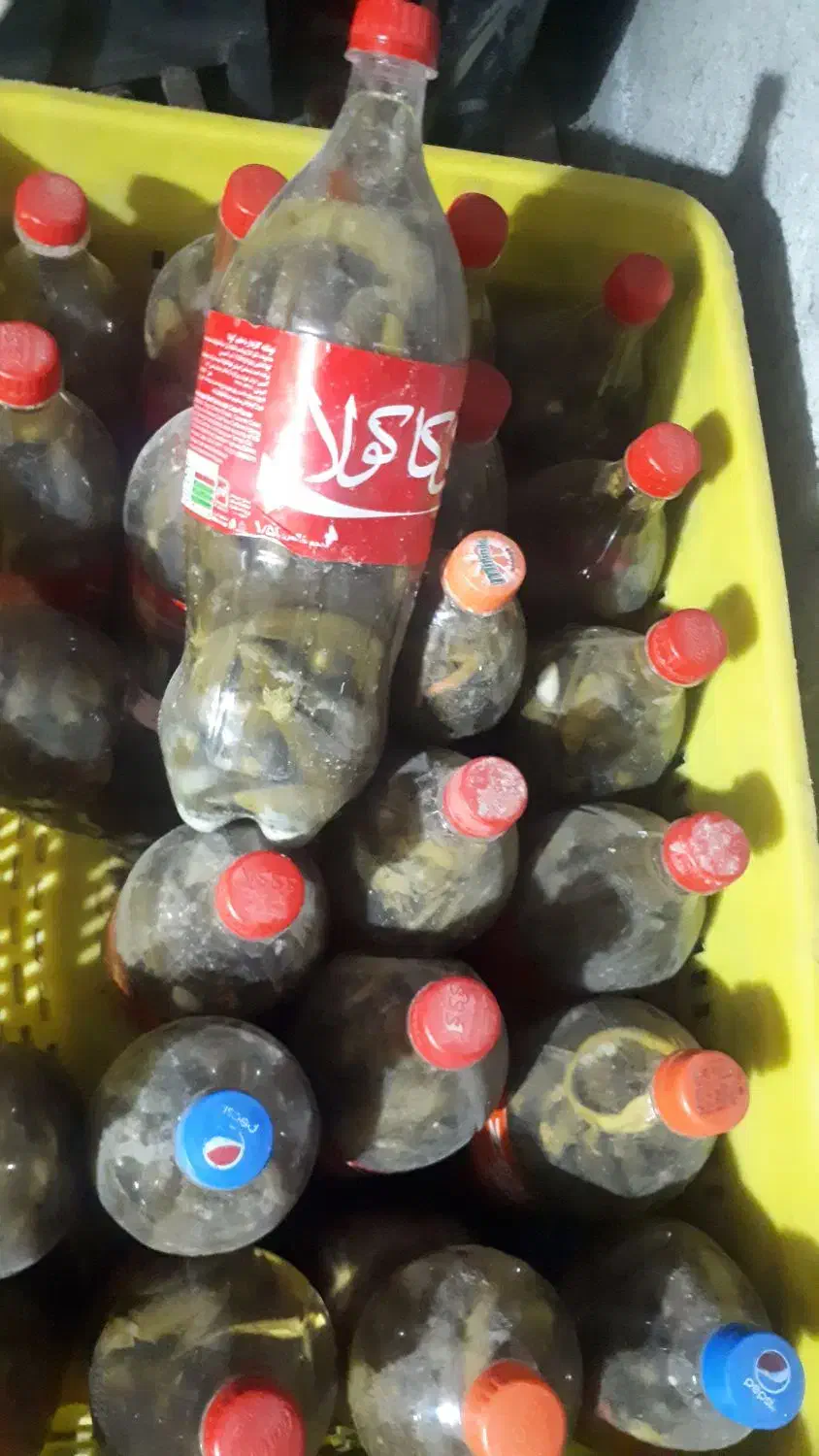 خیار شور|خوردنی و آشامیدنی|شیروان (خراسان), |دیوار