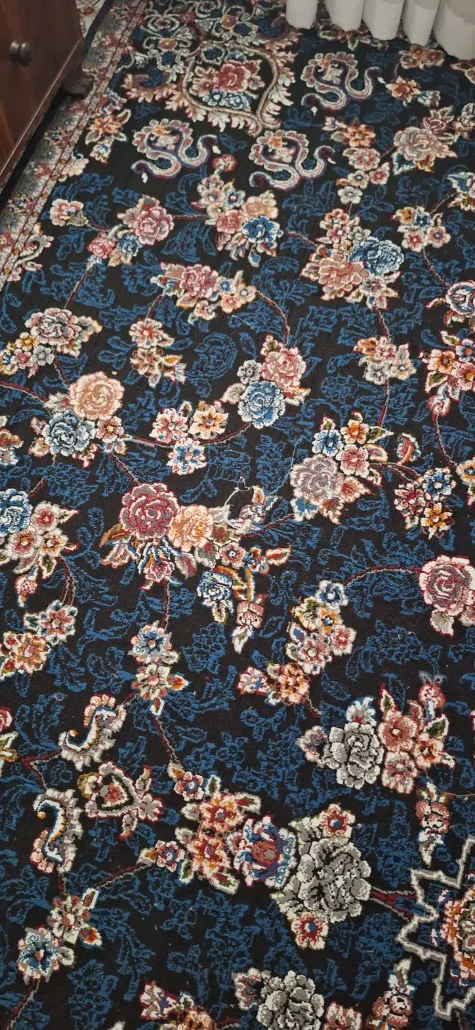 دوعدد فرش ۱۲ متری|فرش|نوشهر, |دیوار