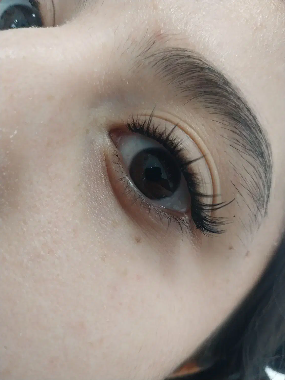 لیفت مژه و ابرو ، کاشت مژه هیدن|خدمات آرایشگری و زیبایی|سلماس, |دیوار