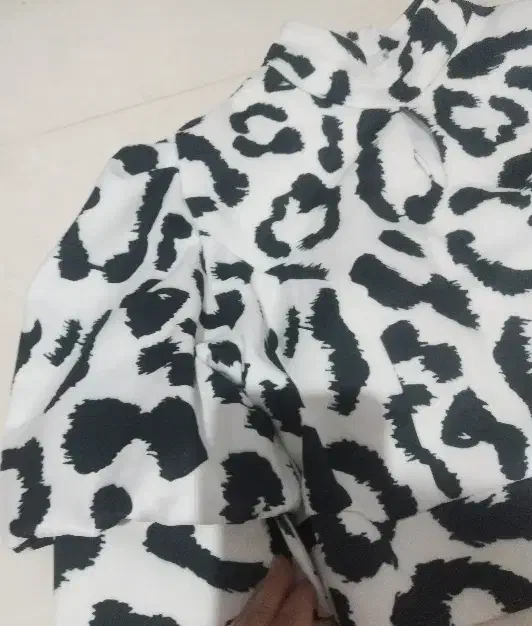 کراپ|لباس|مشهد, تربیت (صدف)|دیوار